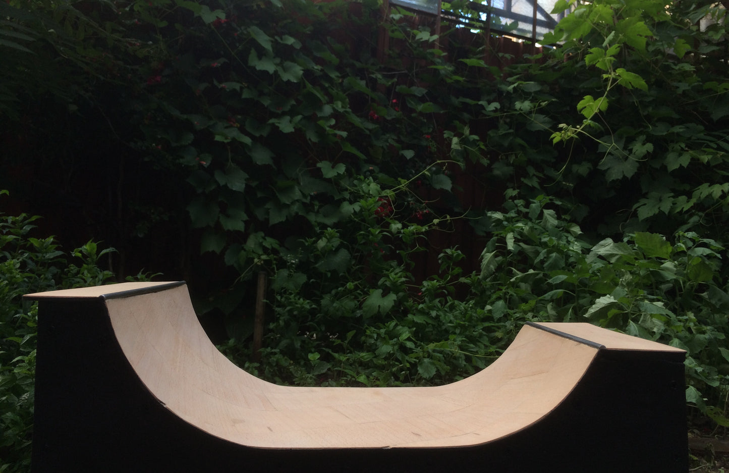 The Mini and The Halfpipe